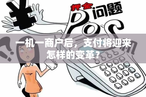一机一商户后，支付将迎来怎样的变革？