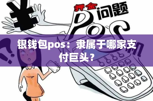 银钱包pos：隶属于哪家支付巨头？