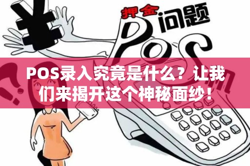 POS录入究竟是什么？让我们来揭开这个神秘面纱！