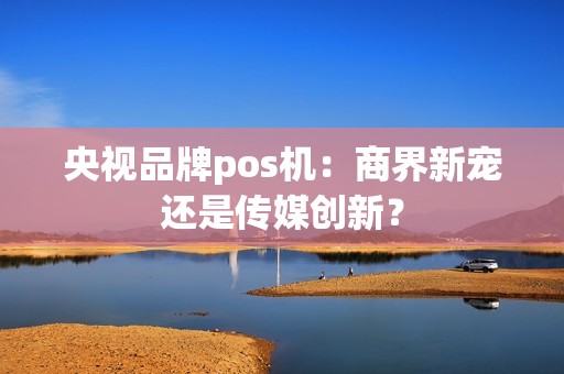 央视品牌pos机：商界新宠还是传媒创新？