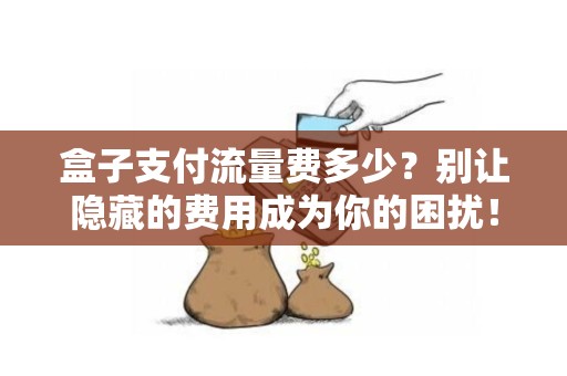 盒子支付流量费多少？别让隐藏的费用成为你的困扰！