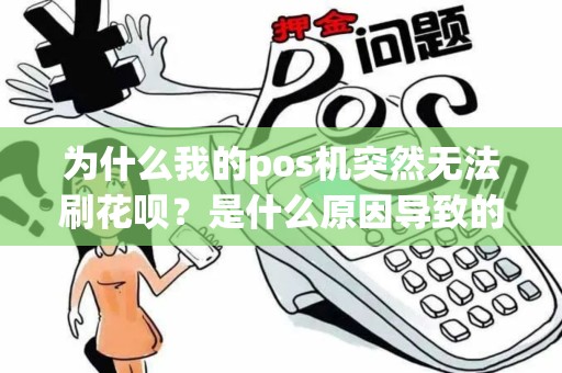 为什么我的pos机突然无法刷花呗？是什么原因导致的？