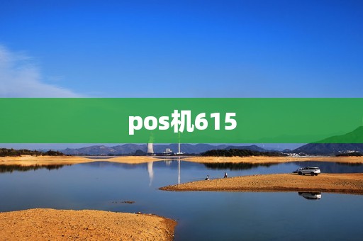 pos机615