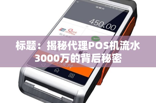 标题：揭秘代理POS机流水3000万的背后秘密