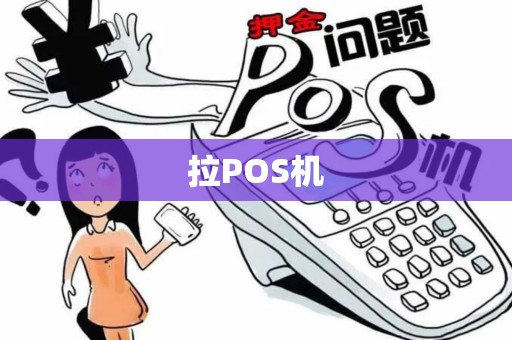 拉POS机