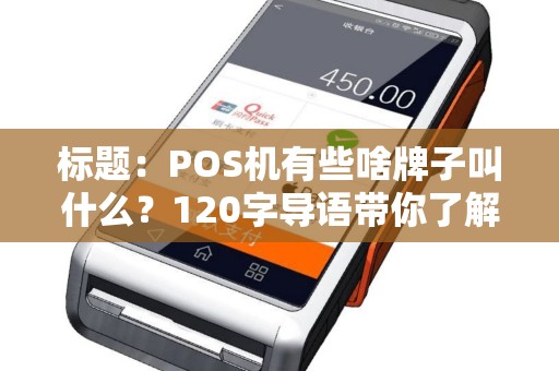 标题：POS机有些啥牌子叫什么？120字导语带你了解热门POS机品牌