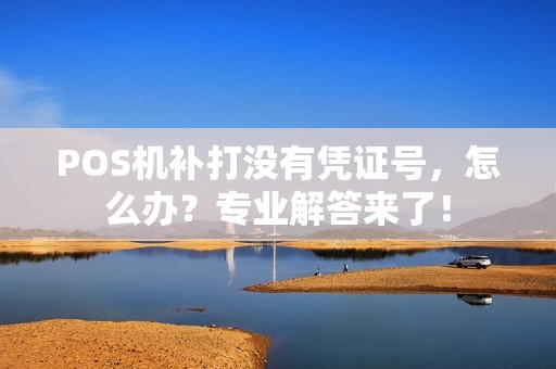 POS机补打没有凭证号，怎么办？专业解答来了！