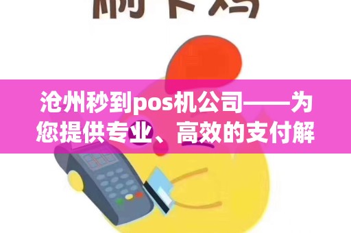 沧州秒到pos机公司——为您提供专业、高效的支付解决方案
