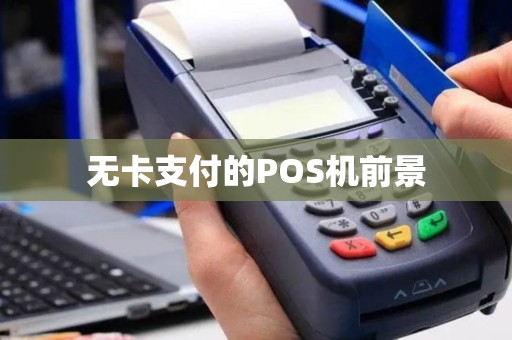 无卡支付的POS机前景