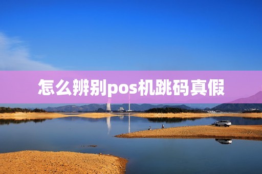 怎么辨别pos机跳码真假