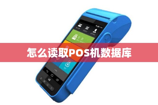怎么读取POS机数据库