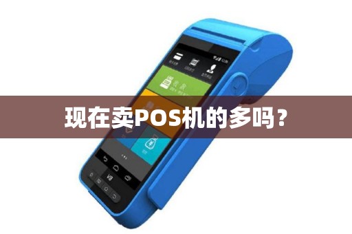 现在卖POS机的多吗？