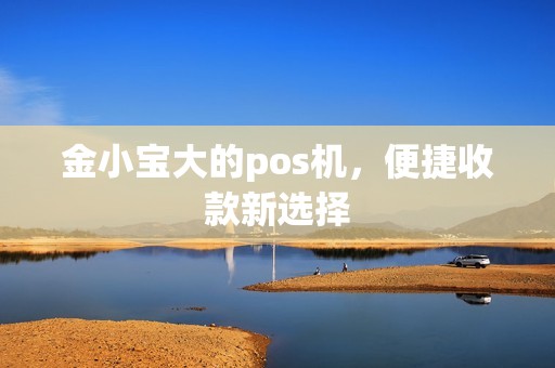 金小宝大的pos机，便捷收款新选择