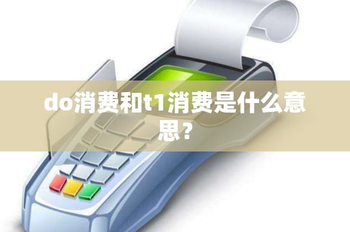 do消费和t1消费是什么意思？