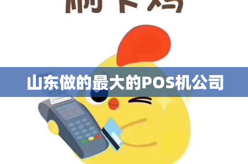 山东做的最大的POS机公司