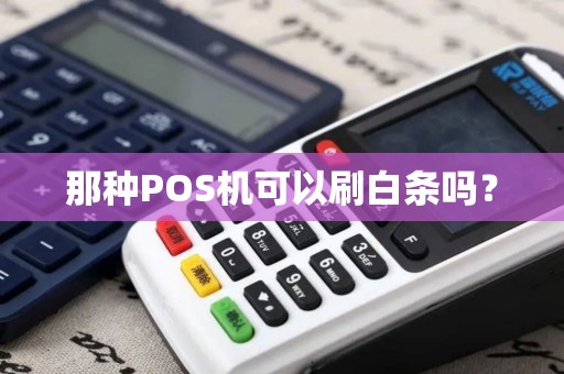 那种POS机可以刷白条吗？