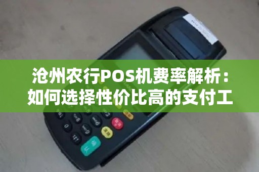 沧州农行POS机费率解析：如何选择性价比高的支付工具？