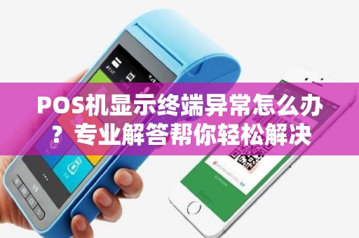 POS机显示终端异常怎么办？专业解答帮你轻松解决