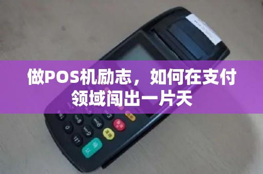 做POS机励志，如何在支付领域闯出一片天