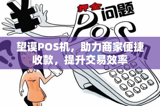 望谟POS机，助力商家便捷收款，提升交易效率