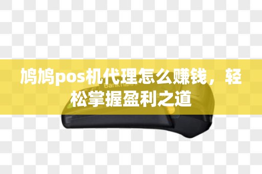 鸠鸠pos机代理怎么赚钱，轻松掌握盈利之道