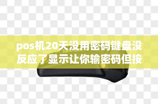 pos机20天没用密码键盘没反应了显示让你输密码但按键没...