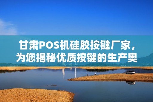 甘肃POS机硅胶按键厂家，为您揭秘优质按键的生产奥秘