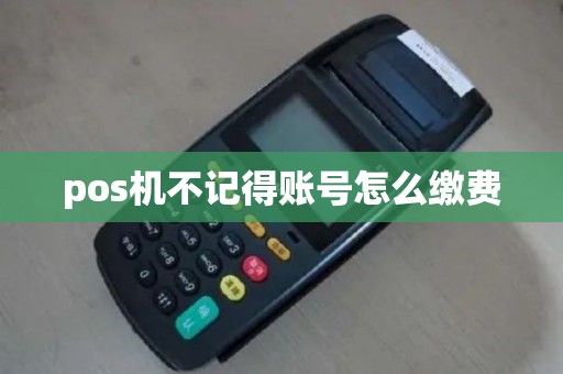 pos机不记得账号怎么缴费