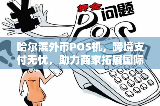 哈尔滨外币POS机，跨境支付无忧，助力商家拓展国际市场