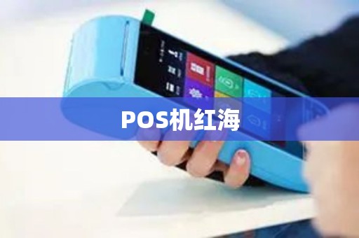 POS机红海