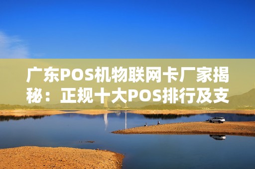 广东POS机物联网卡厂家揭秘：正规十大POS排行及支付公司排名详解