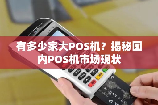 有多少家大POS机？揭秘国内POS机市场现状