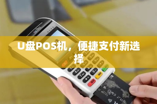 U盘POS机,便捷支付新选择 U盘POS机,便捷支付新选择