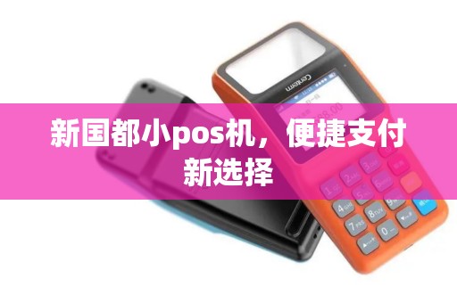 新国都小pos机，便捷支付新选择