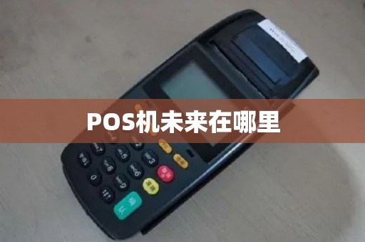 POS机未来在哪里
