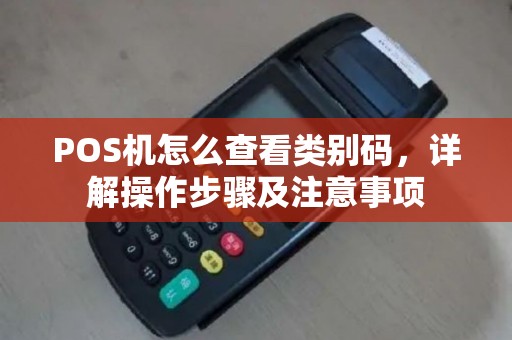 POS机怎么查看类别码，详解操作步骤及注意事项