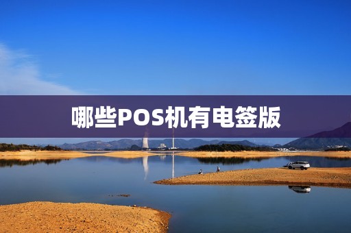 哪些POS机有电签版