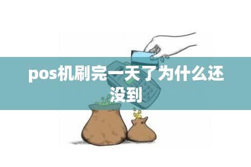 pos机刷完一天了为什么还没到