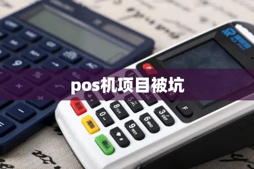 pos机项目被坑