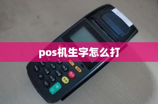 pos机生字怎么打