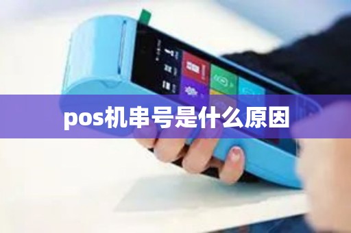 pos机串号是什么原因 pos机串号是什么原因
