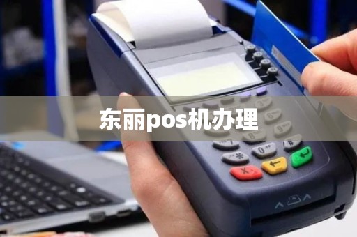 东丽pos机办理
