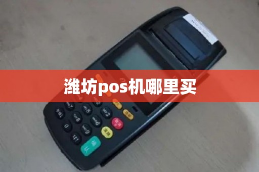 潍坊pos机哪里买