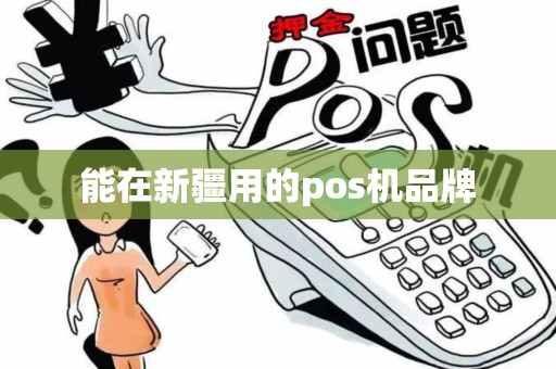 能在新疆用的pos机品牌