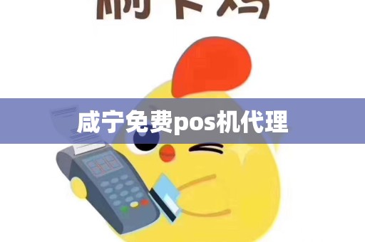 咸宁免费pos机代理