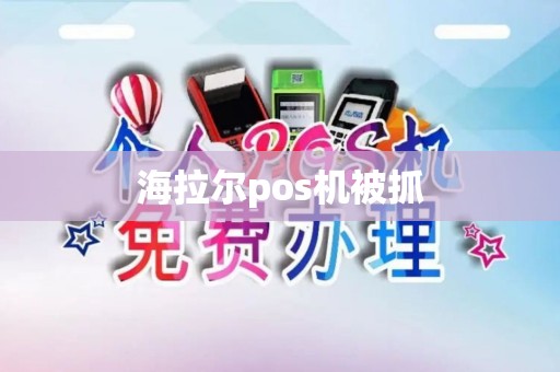 海拉尔pos机被抓