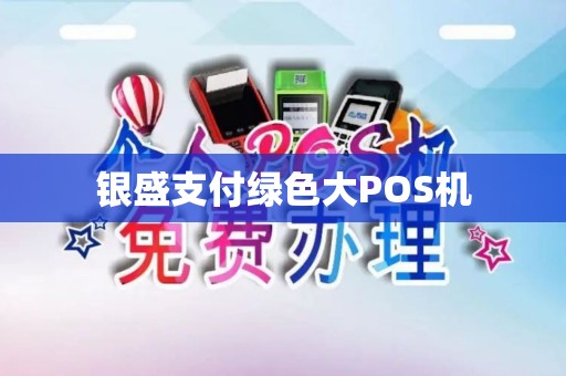 银盛支付绿色大POS机