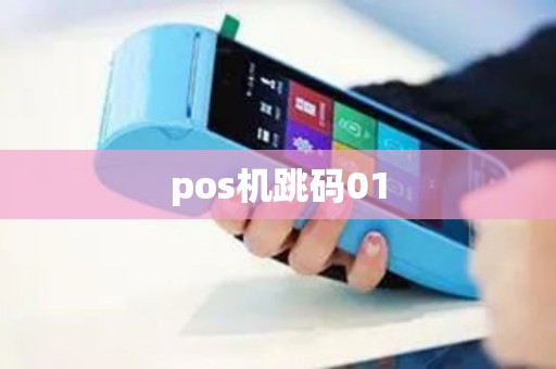 pos机跳码01 pos机跳码01