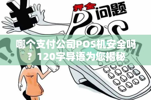 哪个支付公司POS机安全吗？120字导语为您揭秘