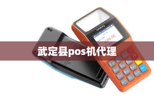 武定县pos机代理